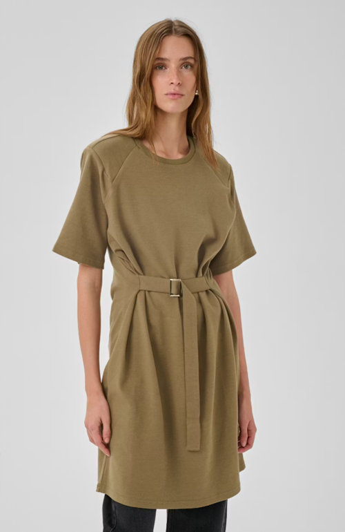 My Essential Wardrobe Dress